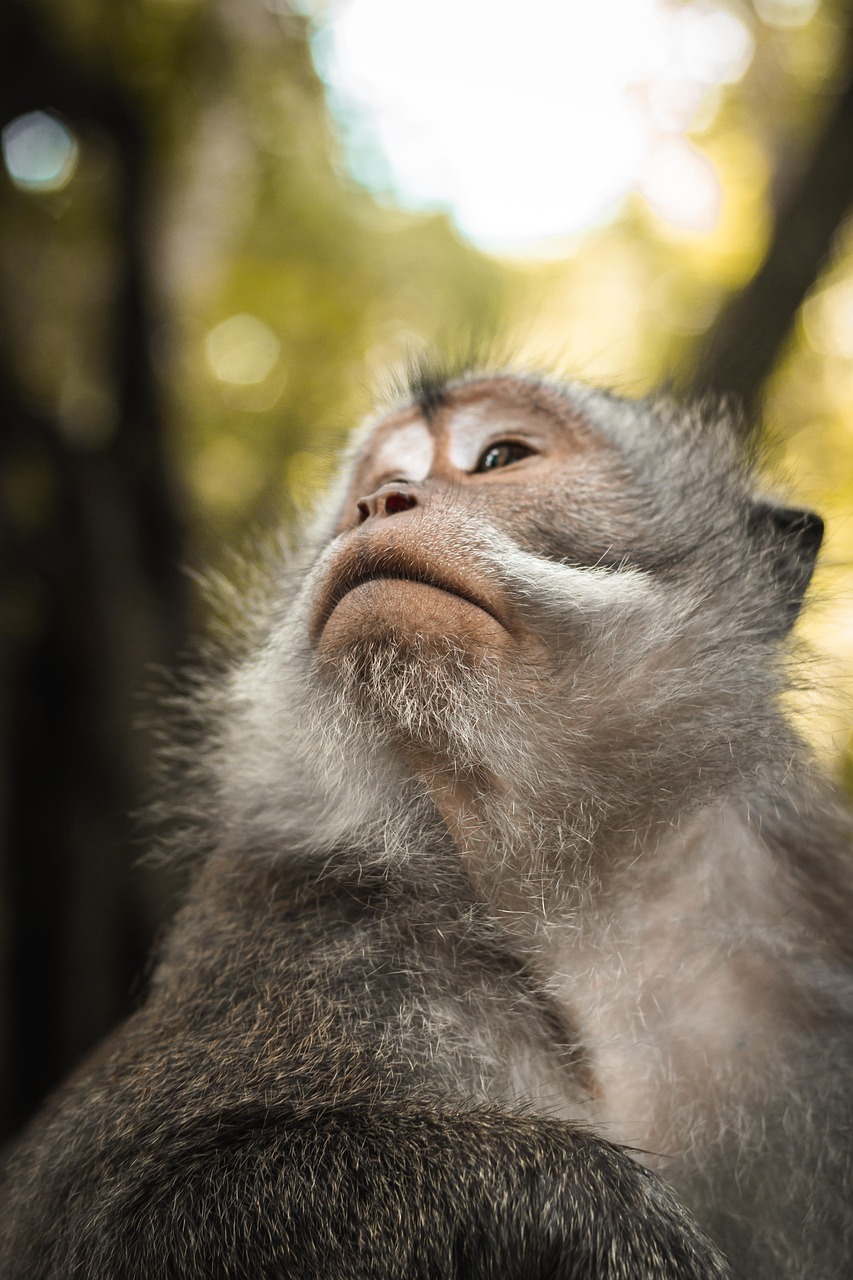 Biodiversité : une urgence négligée à prendre en compte