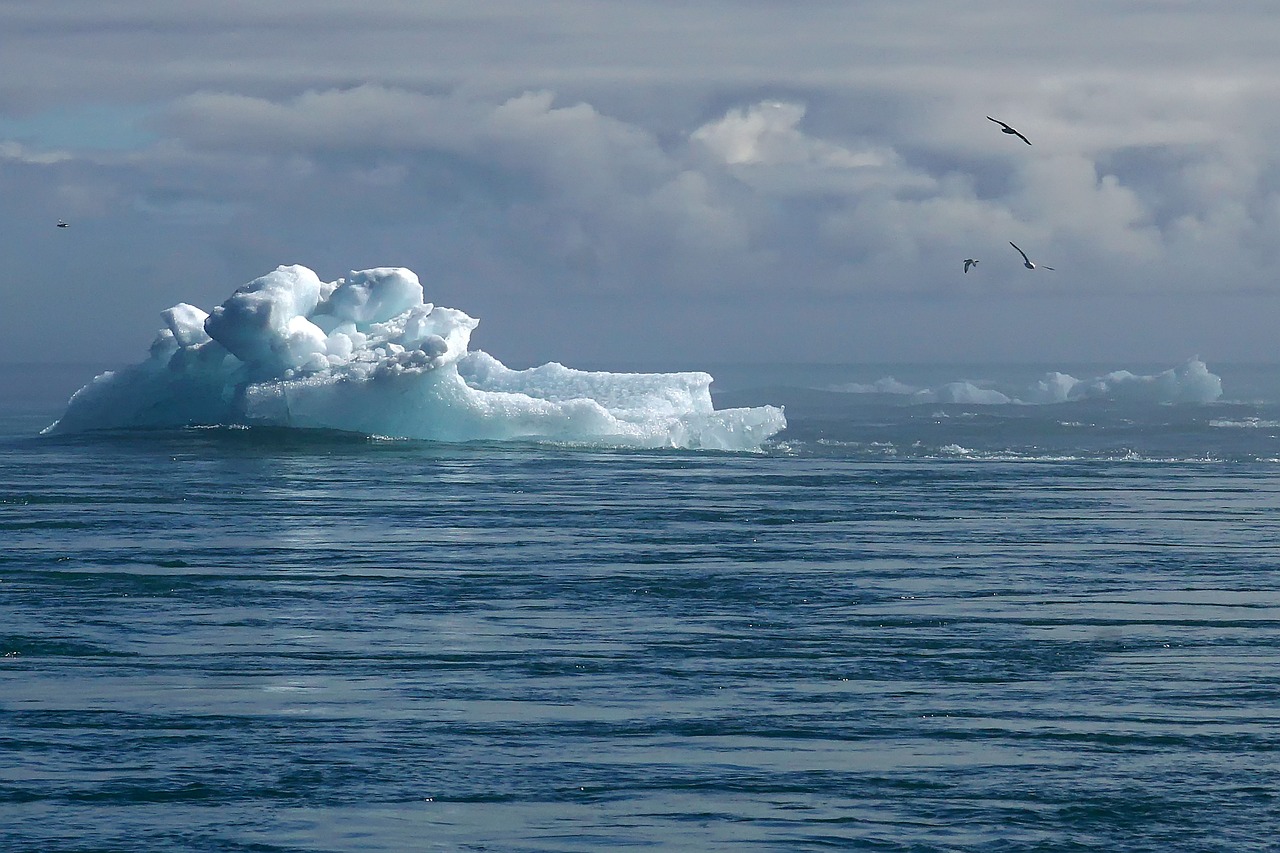 Comment le climat influence-t-il la migration des espèces ?