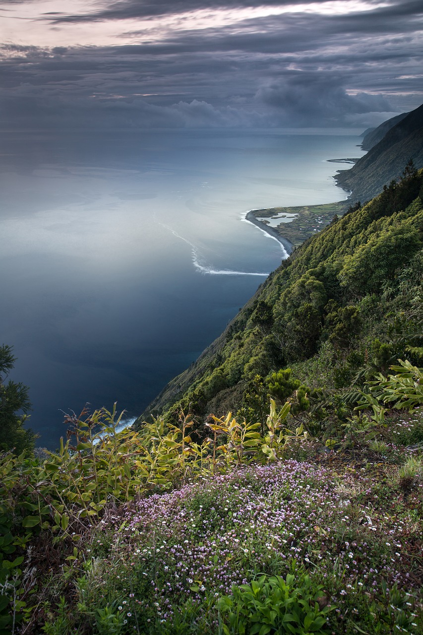 découvrez l'importance de la biodiversité pour notre planète. apprenez comment elle soutient les écosystèmes, préserve les espèces et contribue à la santé humaine et à la durabilité. explorez des initiatives pour protéger notre riche patrimoine naturel.