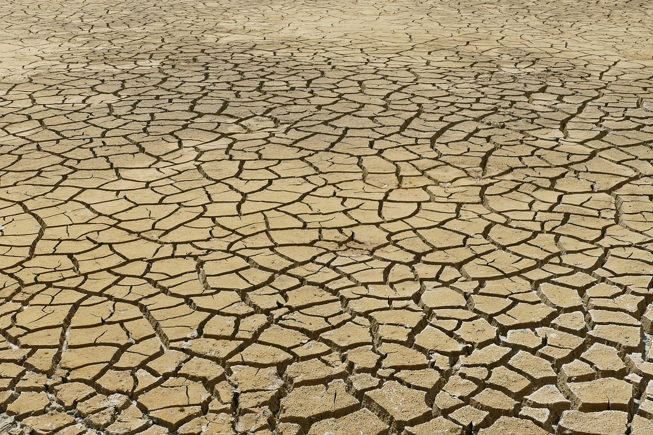 découvrez les enjeux et les impacts du changement climatique sur notre planète. informez-vous sur les causes, les conséquences et les actions à entreprendre pour préserver notre environnement et bâtir un avenir durable.