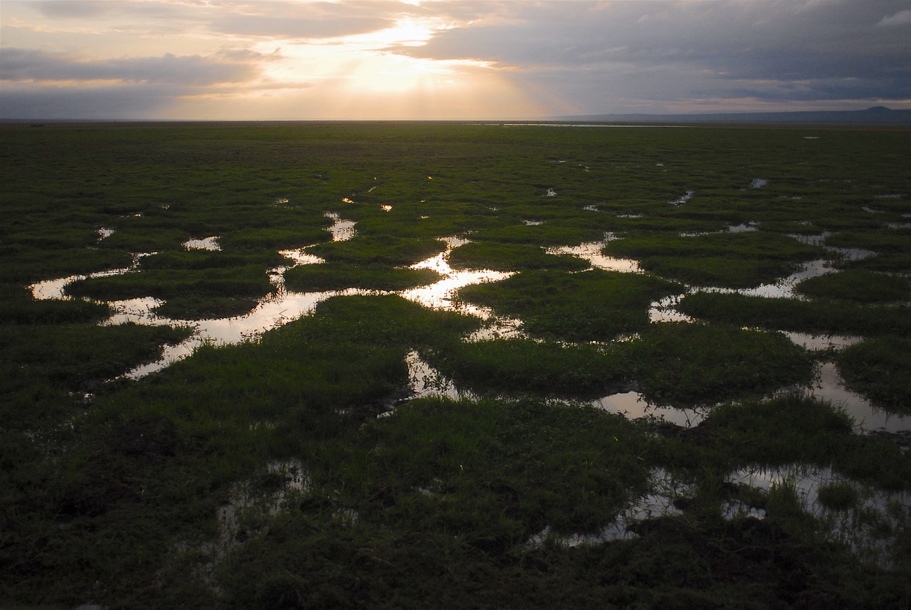 découvrez les enjeux cruciaux de la crise climatique, ses impacts sur notre planète et les solutions innovantes pour un avenir durable. engageons-nous ensemble pour préserver notre environnement.