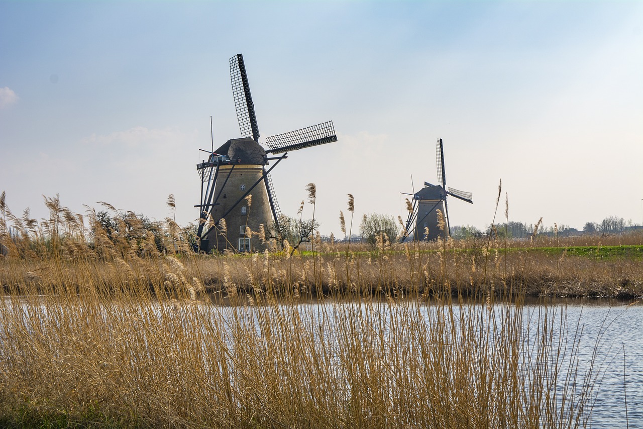 découvrez notre tour écologique : une aventure immersive au cœur de la nature, alliant sensibilisation à l'environnement et émerveillement des paysages, tout en respectant la biodiversité et en promouvant un tourisme durable.