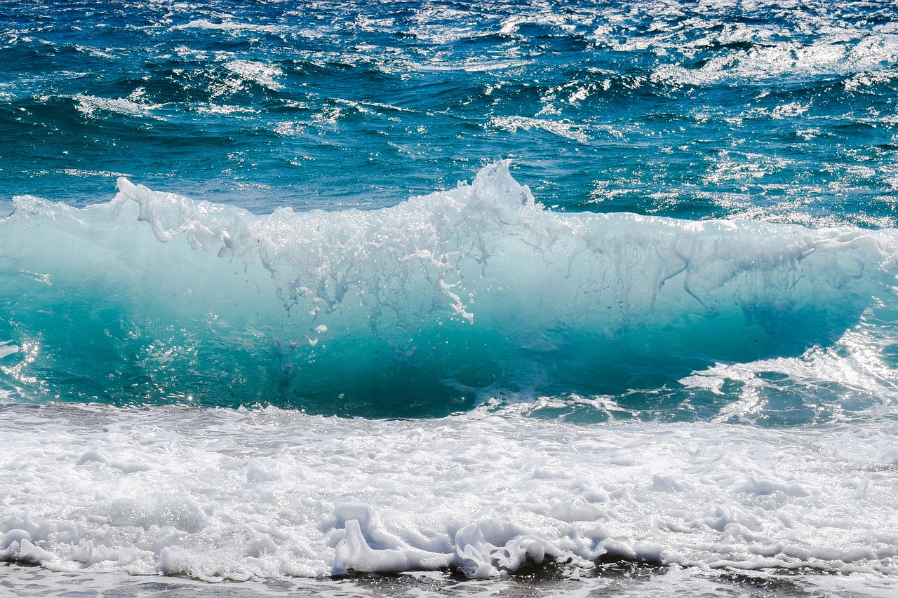 découvrez les merveilles des océans, ces vastes étendues d'eau qui abritent une biodiversité incroyable, des écosystèmes fascinants et des mystères encore inexplorés. plongez dans le monde marin et explorez les enjeux de sa préservation.