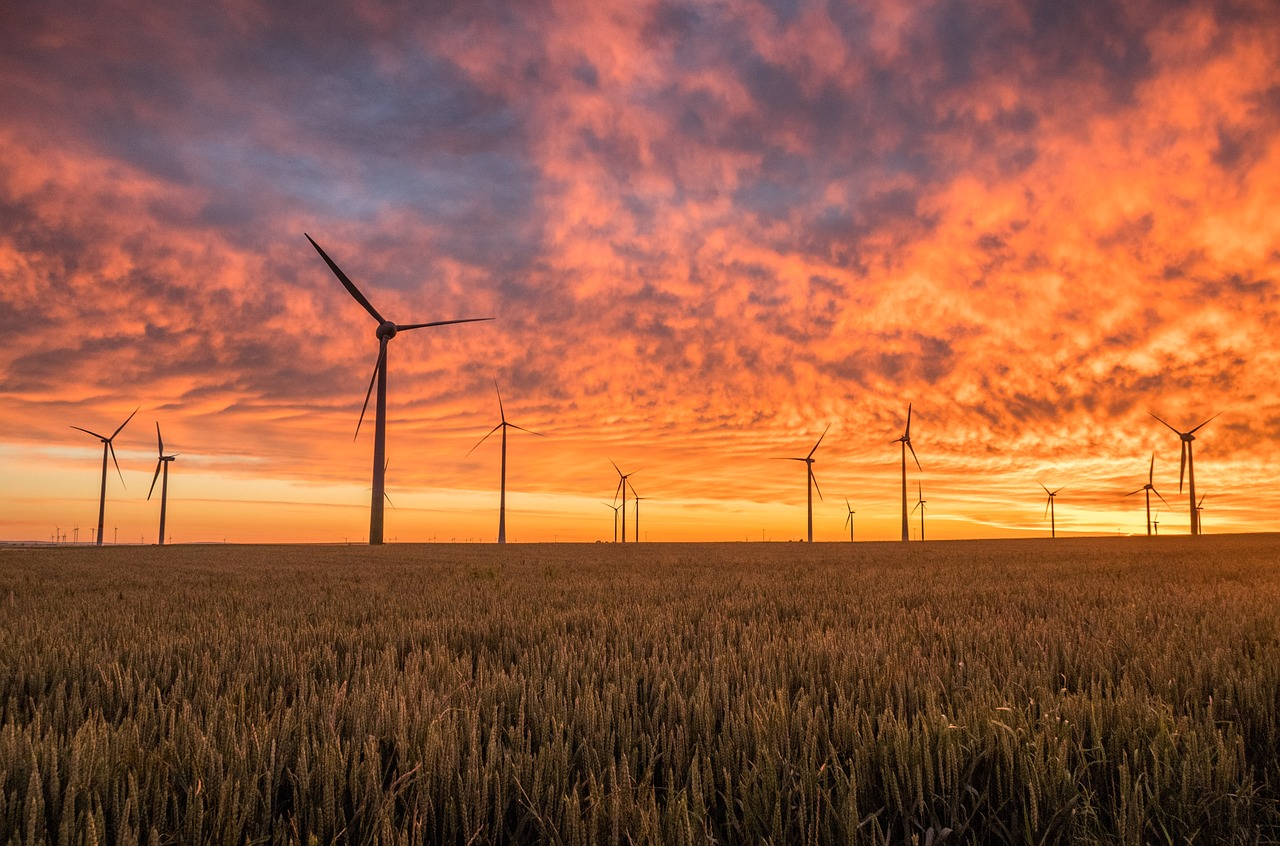 découvrez l'univers de l'énergie renouvelable, des solutions durables pour un avenir plus vert. explorez les différentes sources d'énergie, telles que l'éolien, le solaire et l'hydraulique, ainsi que leur impact sur l'environnement et l'économie.