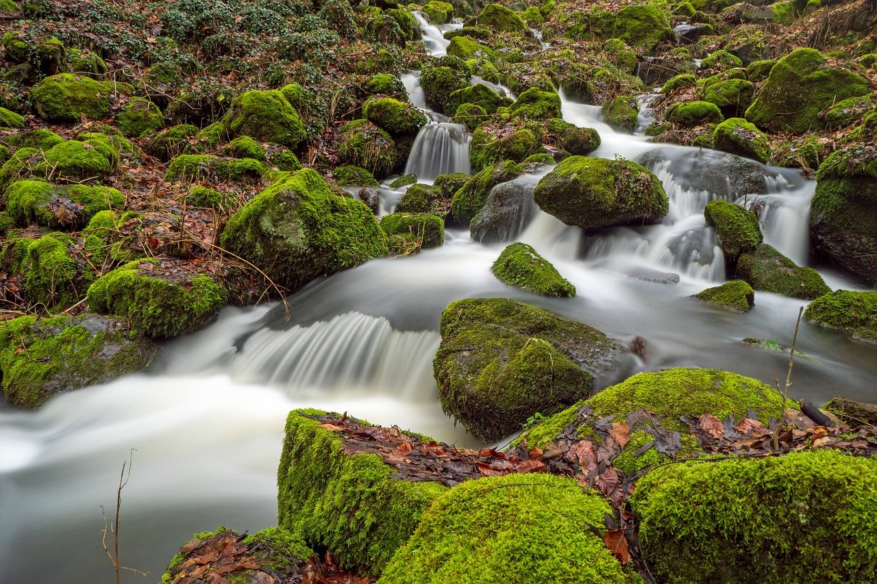 L’eau, une ressource précieuse à préserver