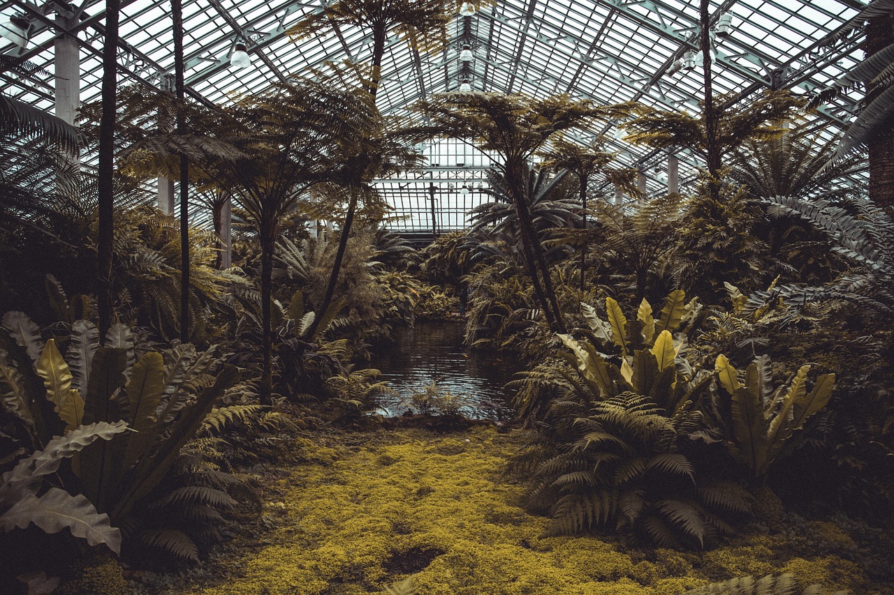 L’importance de l’éco-système marin pour la biodiversité et la santé des océans