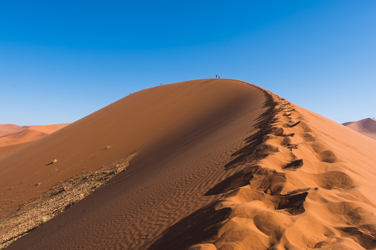 découvrez les défis climatiques majeurs auxquels notre planète est confrontée aujourd'hui. explorez les impacts du changement climatique sur l'environnement, l'économie et nos sociétés, ainsi que les solutions innovantes pour un avenir durable.