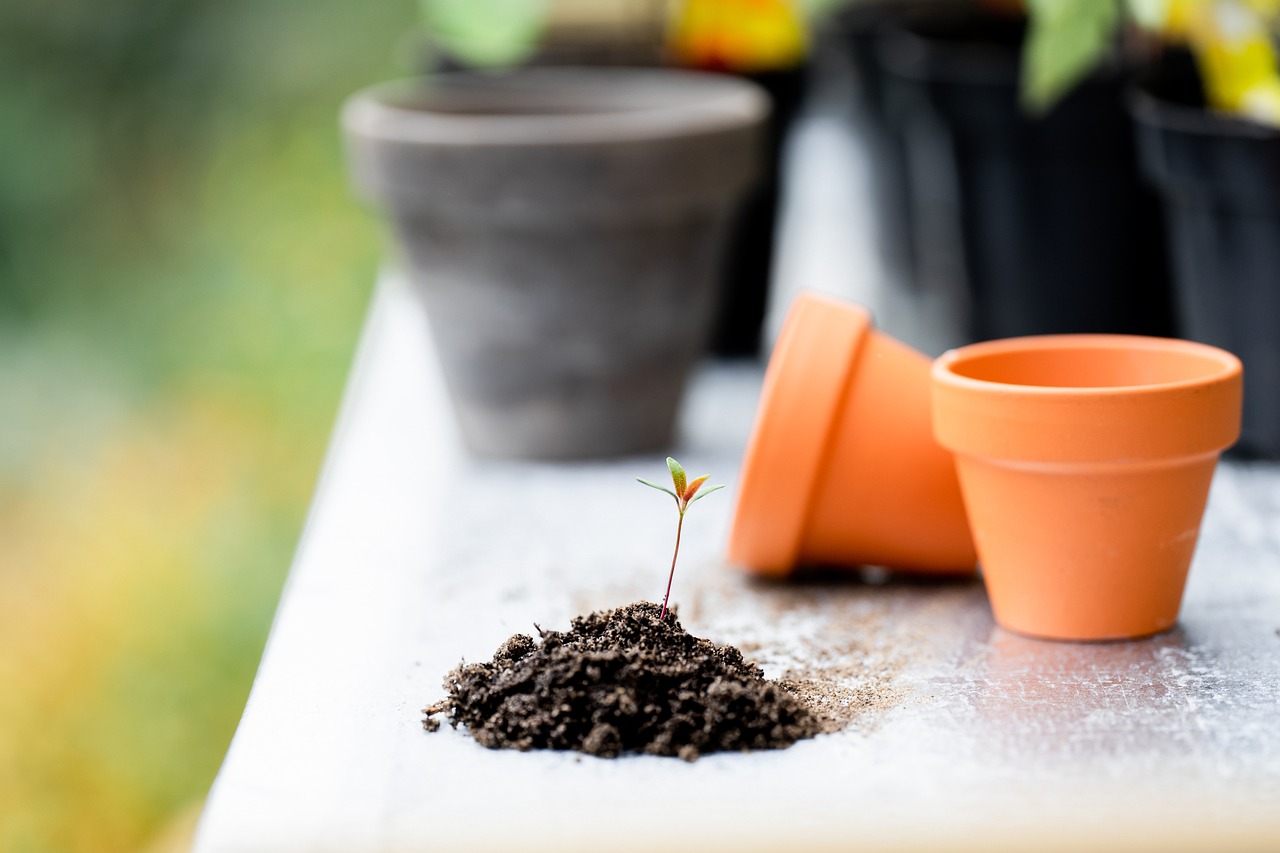 découvrez les principes du jardinage écologique pour créer un espace vert durable et respectueux de l'environnement. apprenez à utiliser des techniques naturelles pour cultiver vos plantes tout en préservant la biodiversité.