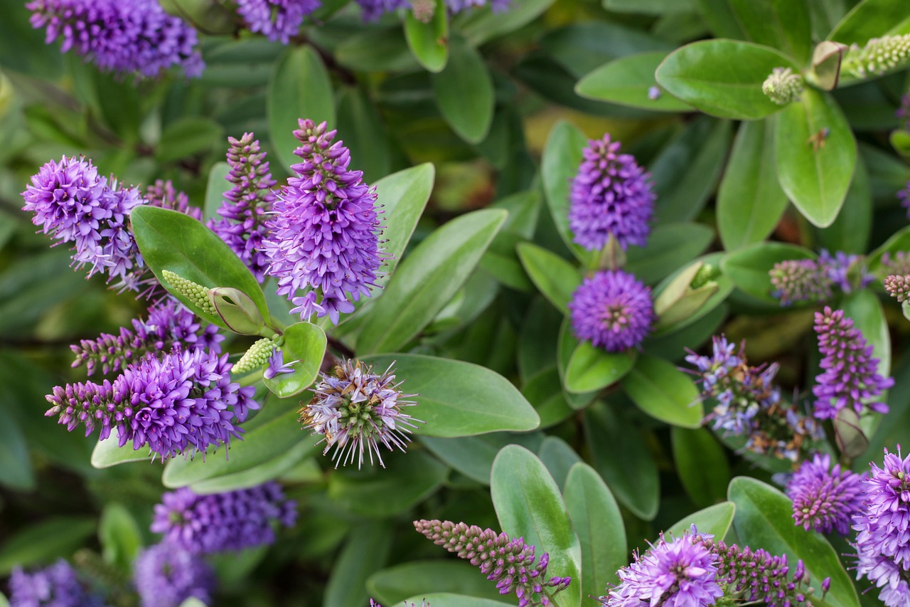 découvrez les principes du jardinage écologique pour créer un espace naturel harmonieux et durable. apprenez à cultiver vos plantes tout en préservant la biodiversité et en respectant l'environnement. transformez votre jardin en un havre de paix tout en contribuant à la protection de la planète.