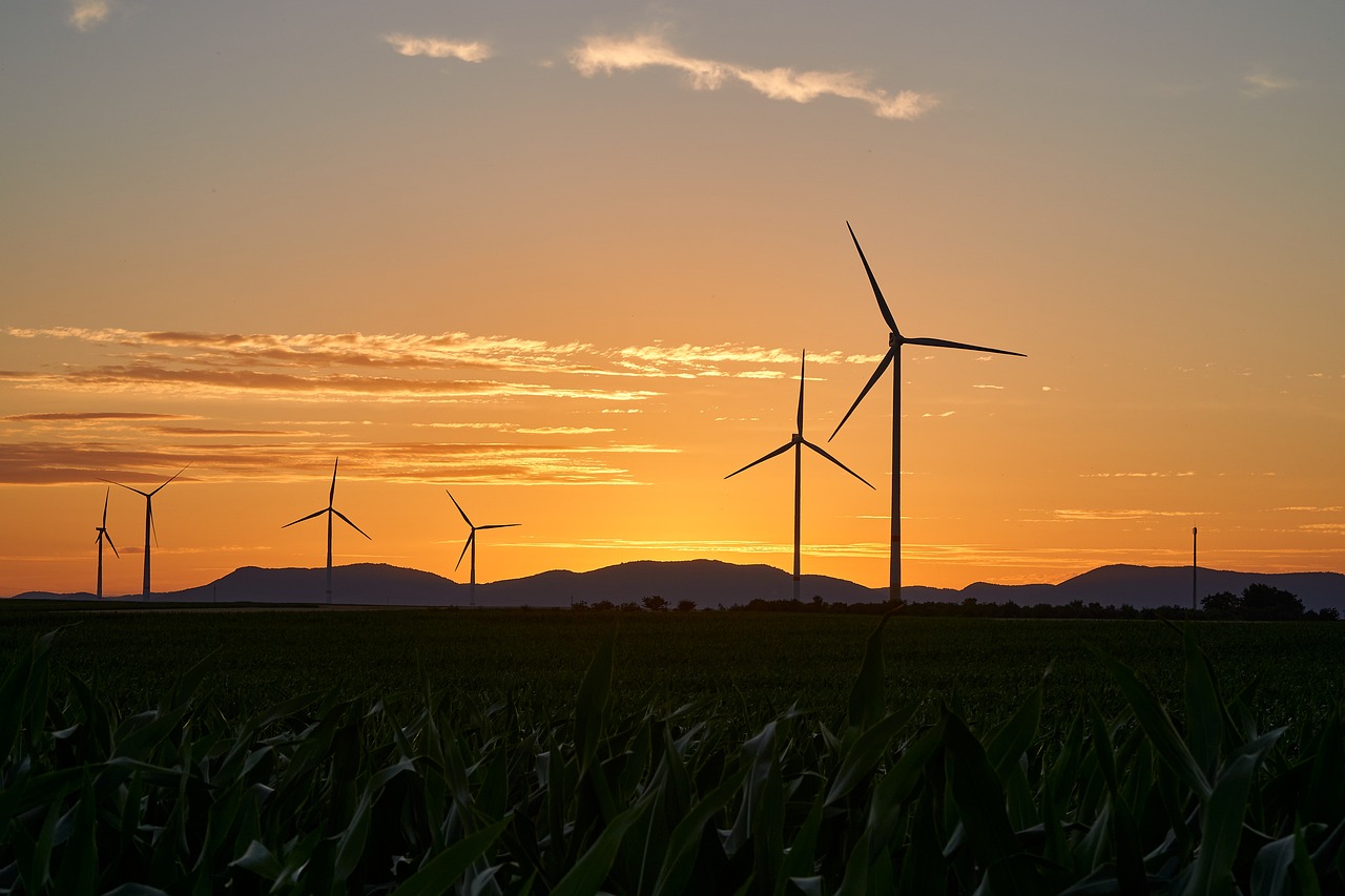 découvrez l'énergie renouvelable, une solution durable et écologique qui transforme le monde de l'énergie. explorez les différentes sources telles que le solaire, l'éolien et l'hydraulique, et comprenez leur impact positif sur l'environnement et l'économie.