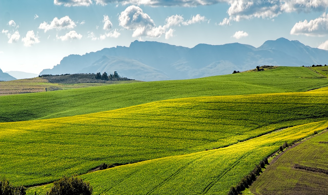 découvrez l'agriculture durable : une approche respectueuse de l'environnement qui allie innovation, préservation des ressources et sécurité alimentaire pour un avenir meilleur.