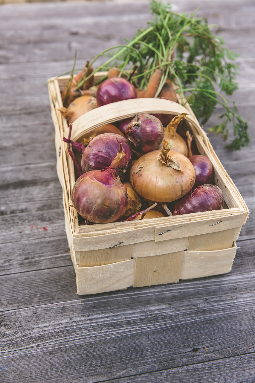 découvrez les principes du jardinage durable pour préserver l'environnement tout en créant un espace vert magnifique. apprenez des techniques respectueuses de la nature, favorisez la biodiversité et développez des pratiques de jardinage qui permettront de cultiver des plantes tout en réduisant votre impact écologique.