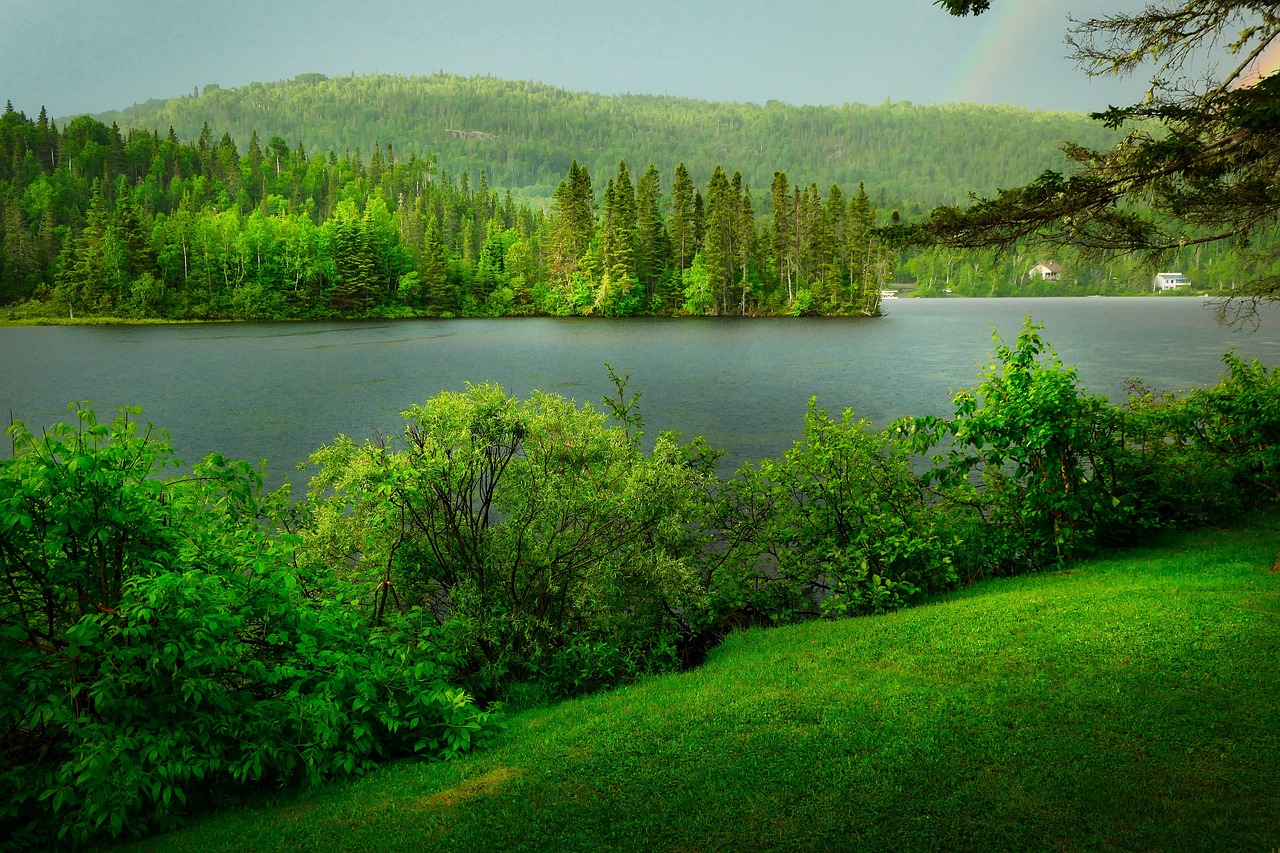 découvrez l'importance de la biodiversité urbaine, ses enjeux et les initiatives pour préserver et promouvoir la faune et la flore dans nos villes. apprenez comment favoriser un environnement urbain plus durable et enrichissant pour toutes les espèces.