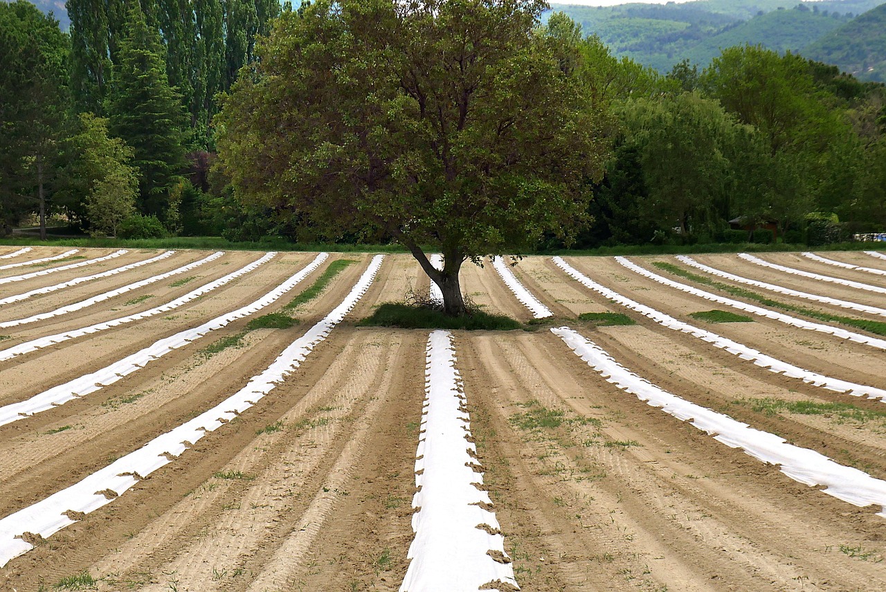 Le rôle de l’agroécologie dans la préservation de la biodiversité