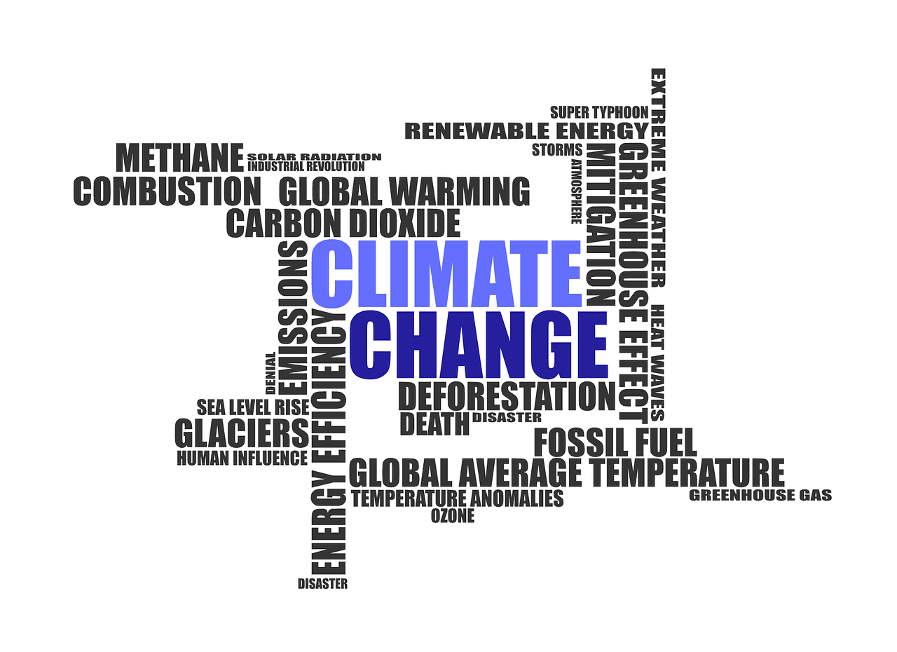 découvrez l'impact croissant des catastrophes climatiques sur notre planète. analyse des événements extrêmes, des causes sous-jacentes et des solutions pour un avenir plus durable.