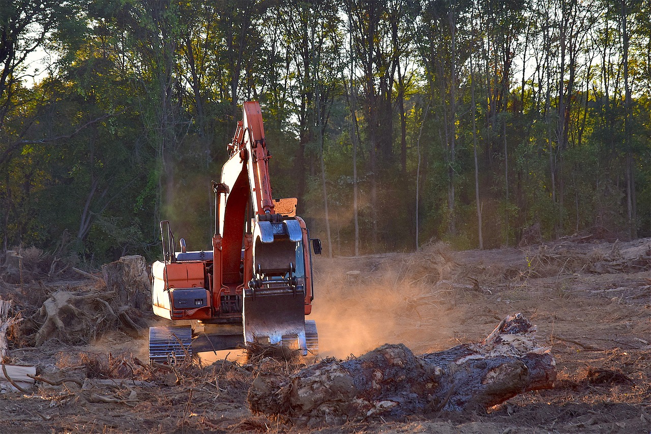 découvrez les enjeux de la déforestation, ses causes et conséquences sur notre planète. apprenez comment protéger les forêts et promouvoir la durabilité pour un avenir plus vert.