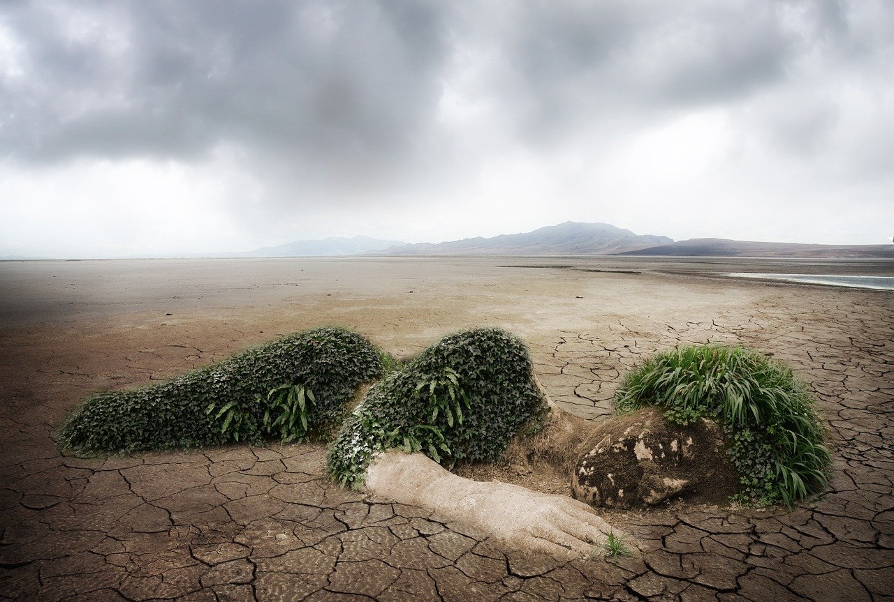 découvrez des initiatives et des pratiques innovantes pour la préservation de l'environnement. apprenez comment vous pouvez contribuer à la protection de notre planète pour les générations futures.