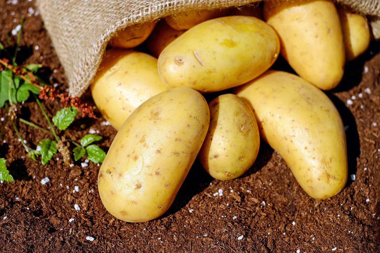 découvrez les bienfaits des produits locaux : des aliments frais et de saison, cultivés près de chez vous, qui soutiennent l'économie locale et préservent l'environnement. adoptez une alimentation saine et responsable !