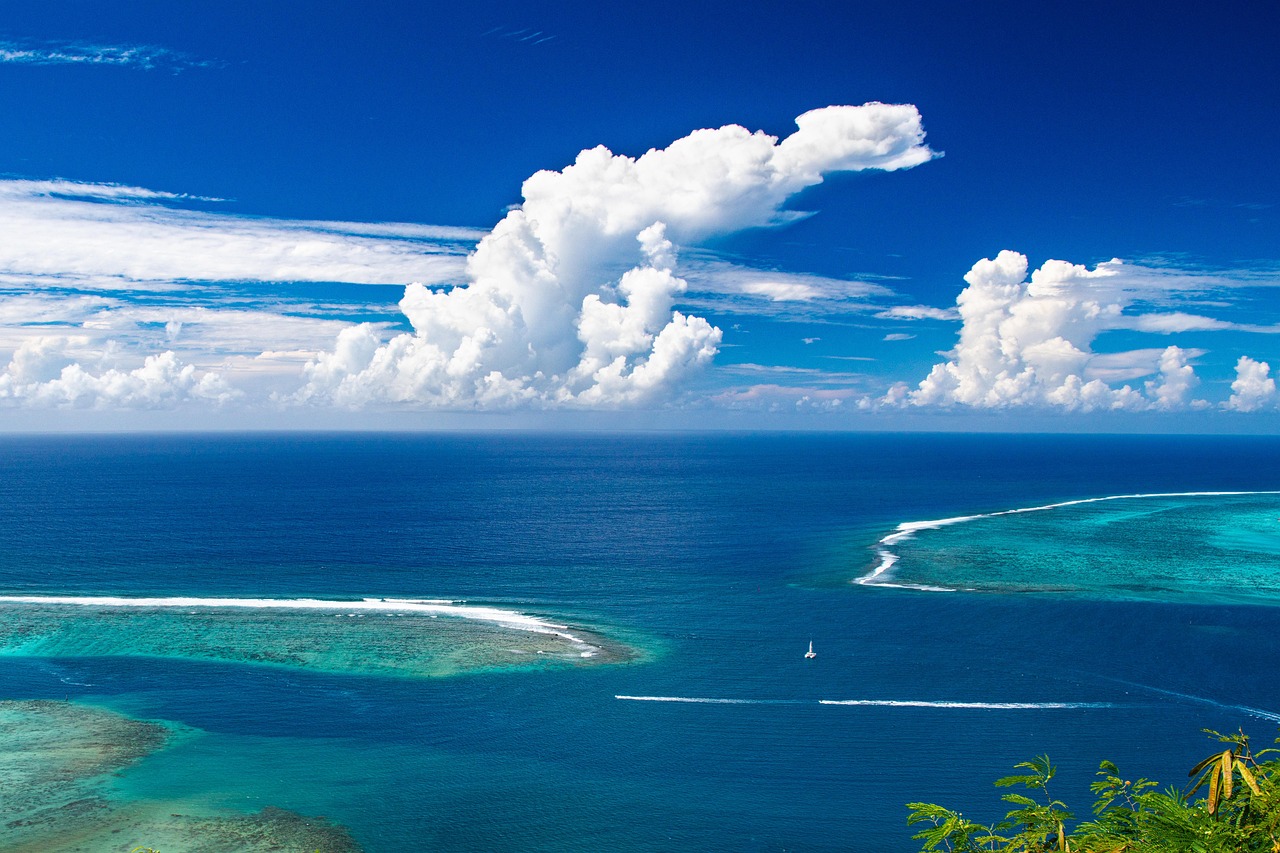 découvrez la beauté et la diversité des océans, ces vastes étendues d'eau qui couvrent plus de 70 % de notre planète. plongez dans un monde fascinant riche en biodiversité, en écosystèmes marins et en merveilles naturelles. explorez les défis environnementaux auxquels font face nos océans et l'importance de leur préservation pour les générations futures.