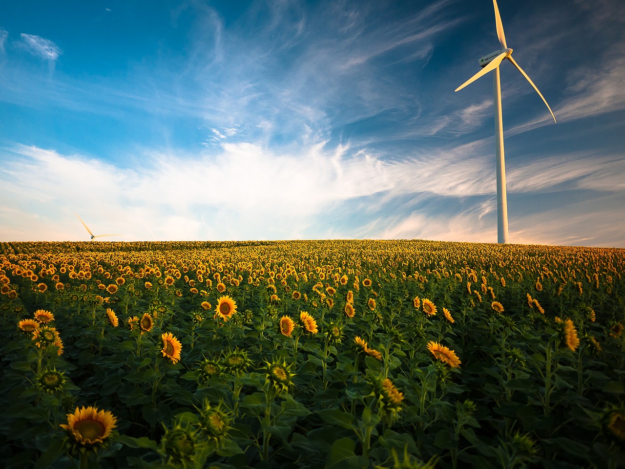 découvrez les sources d'énergie renouvelable, leur importance pour la durabilité de notre planète et les innovations qui transforment notre approche énergétique. apprenez comment vous pouvez contribuer à un avenir plus vert.