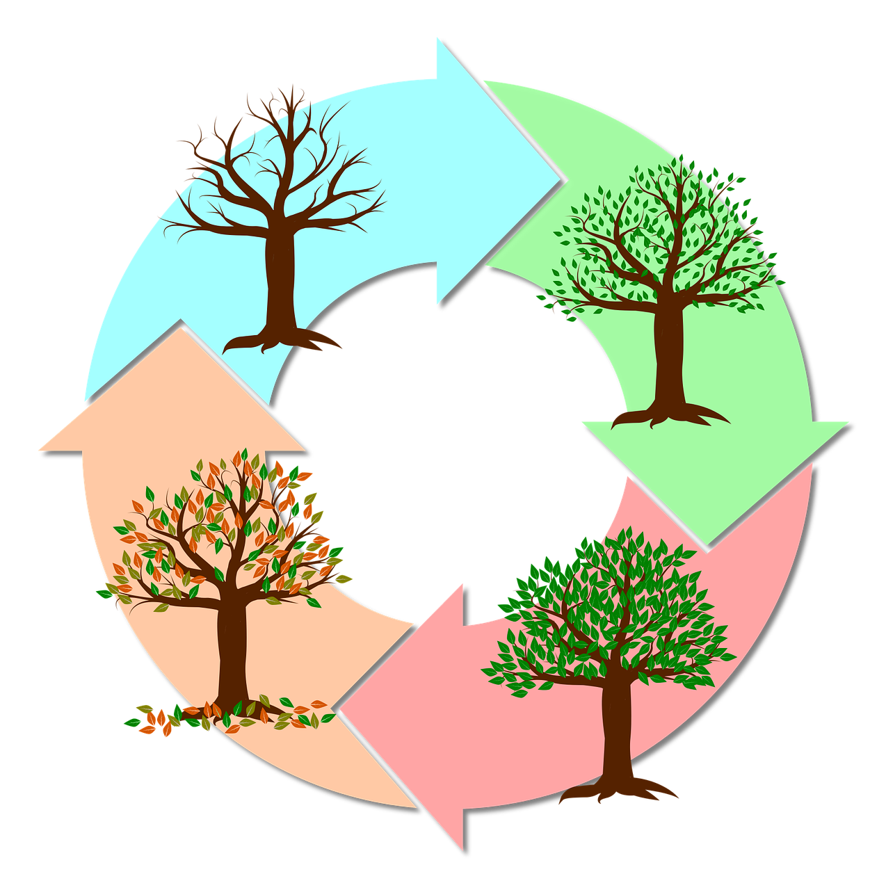 découvrez l'impact des changements saisonniers sur notre environnement et notre quotidien. explorez comment les variations climatiques influencent la nature, la faune et nos activités tout au long de l'année.