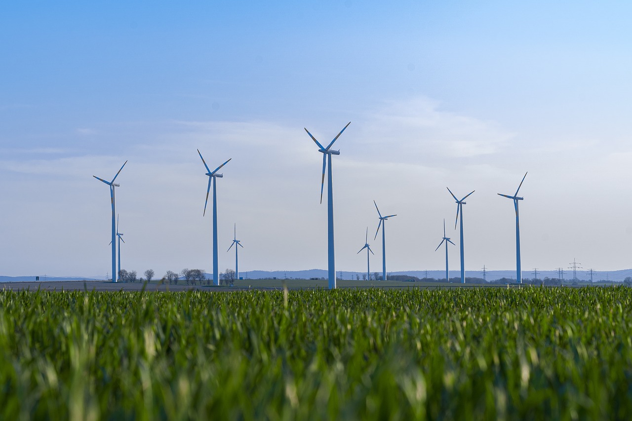 découvrez comment promouvoir la durabilité à travers des pratiques respectueuses de l'environnement, des stratégies innovantes et des solutions concrètes pour un avenir plus vert et responsable.