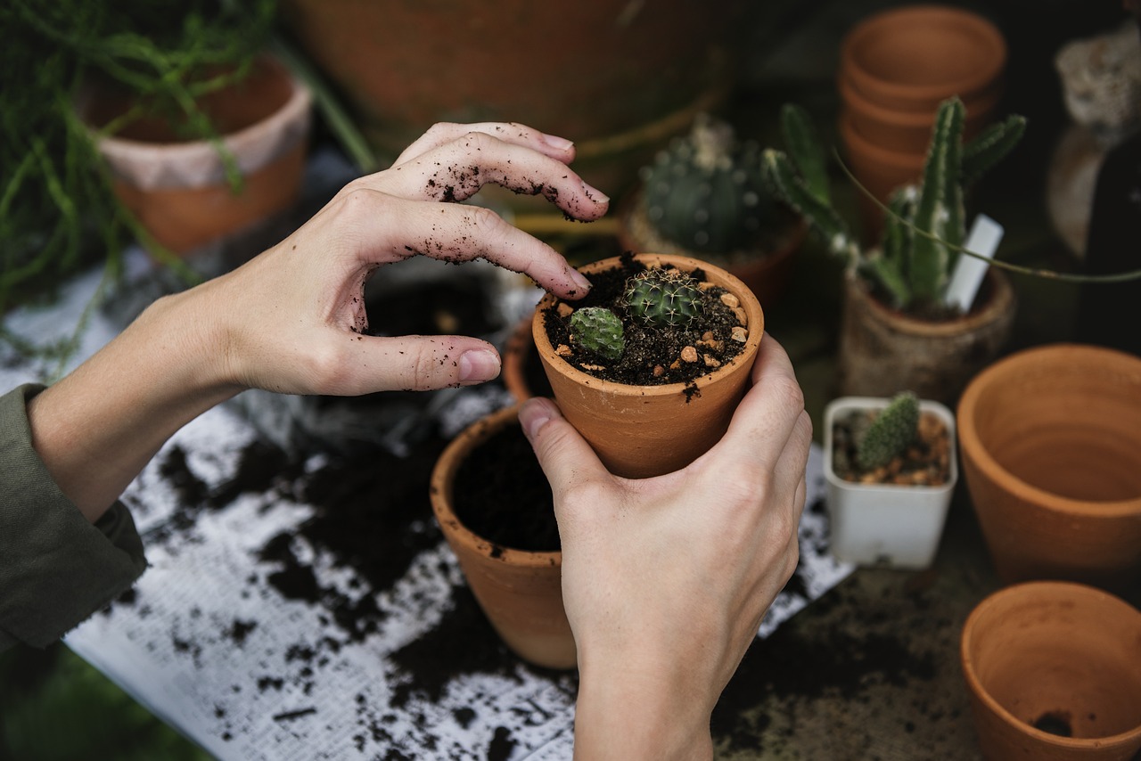 découvrez l'importance de la plantation d'arbres pour l'environnement et notre avenir. rejoignez-nous pour apprendre comment chaque geste compte dans la lutte contre le changement climatique et pour la préservation de la biodiversité.