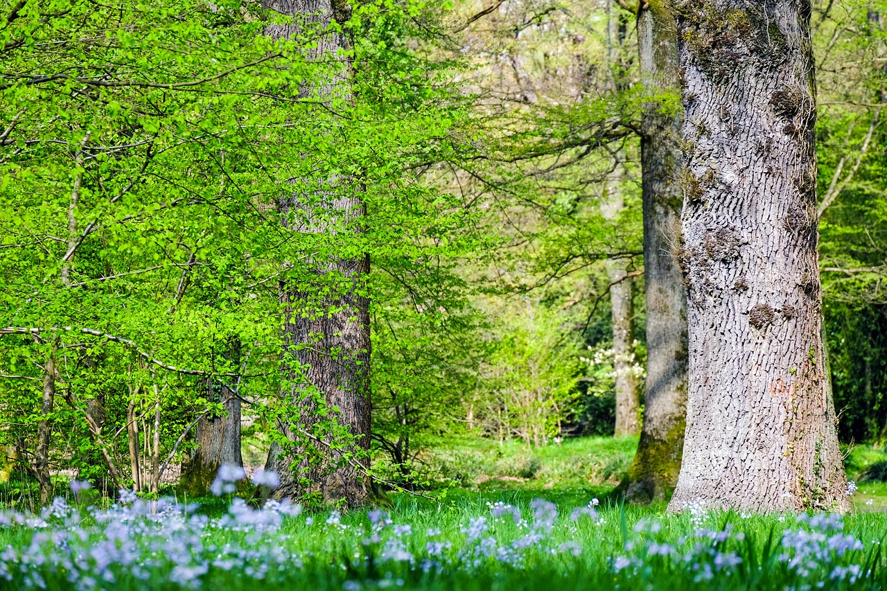 découvrez l'écologie urbaine, un domaine fascinant qui explore les interactions entre les êtres vivants et leur environnement urbain. apprenez comment les villes peuvent devenir des écosystèmes durables et favoriser la biodiversité tout en répondant aux défis contemporains tels que la pollution et le changement climatique.