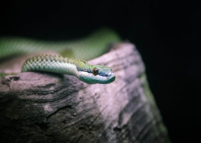 Les habitats naturels à protéger