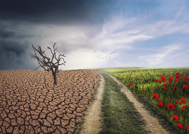 Réchauffement climatique : impacts et solutions pour un avenir durable