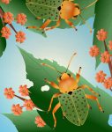 découvrez la beauté et la diversité de la nature à travers nos articles captivants, explorant les paysages, la faune et la flore qui embellissent notre planète.