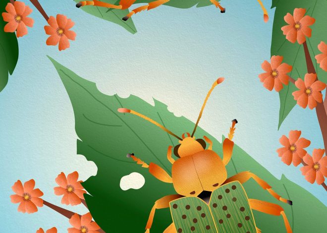 Respecter la nature : une priorité pour notre futur