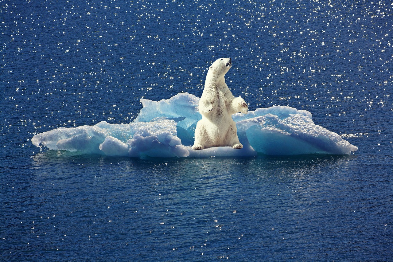 découvrez les enjeux et les impacts du changement climatique sur notre planète. apprenez comment lutter contre cette crise environnementale et contribuer à un avenir durable.