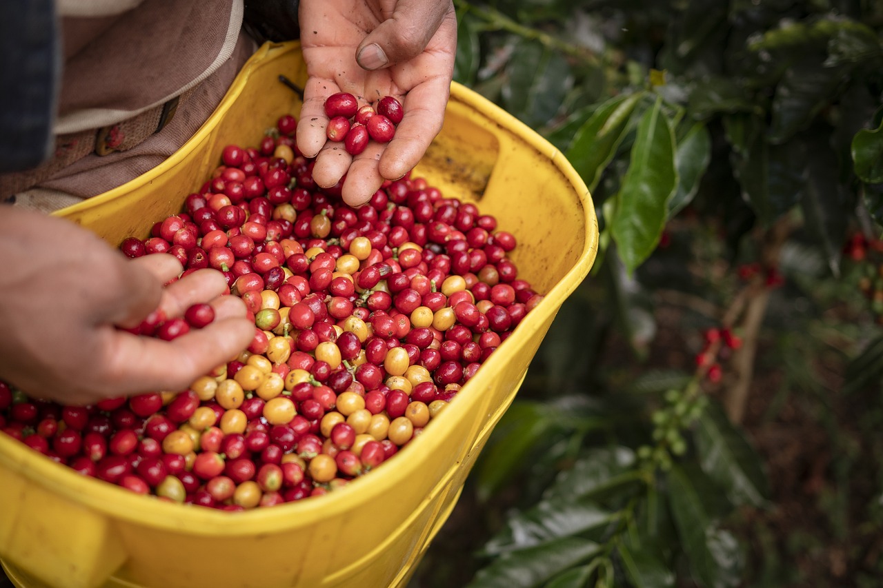 découvrez des pratiques agricoles respectueuses de l'environnement qui favorisent une agriculture durable et écoresponsable. apprenez comment le farming respectueux du climat contribue à la préservation de notre planète tout en améliorant la qualité des récoltes.