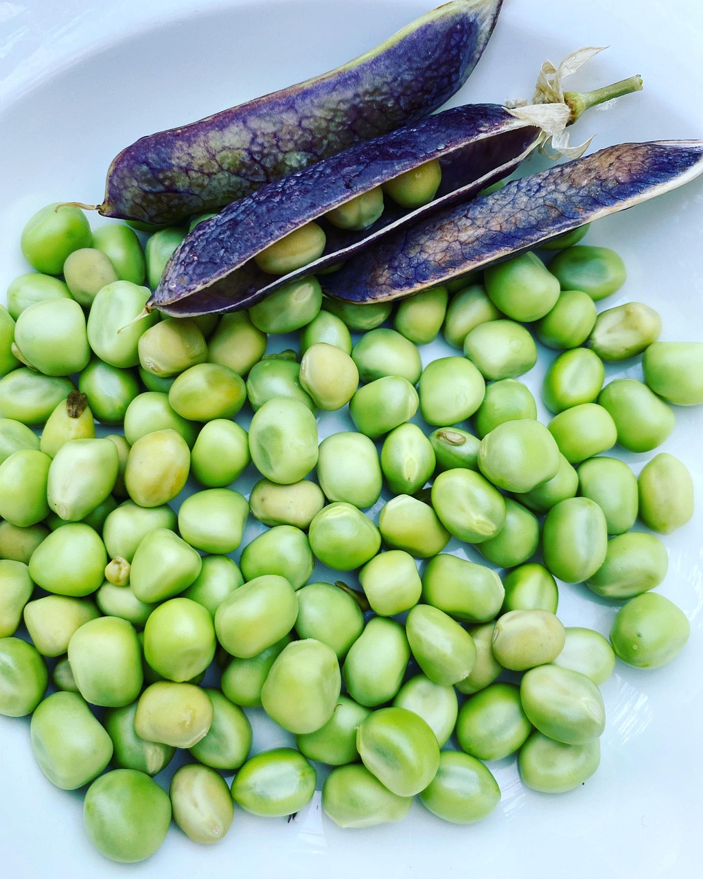 découvrez le monde coloré des légumes ! explorez des recettes savoureuses, des conseils de conservation et les bienfaits nutritionnels pour une alimentation saine. transformez vos repas avec des légumes frais et de saison.