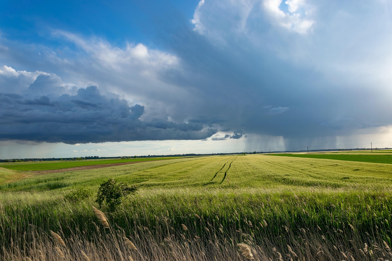 découvrez les pratiques de l'agriculture durable, qui allient respect de l'environnement, efficacité économique et bien-être social. apprenez comment cette approche innovante contribue à la préservation des ressources naturelles tout en garantissant une alimentation saine et locale.