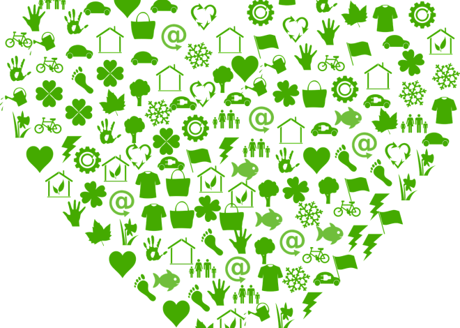 Approvisionnement durable : Comment adopter des pratiques écoresponsables dans votre entreprise