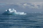 découvrez l'impact du changement climatique sur notre planète, les défis environnementaux actuels et les solutions durables pour un avenir meilleur. engagez-vous pour la préservation de notre climat.