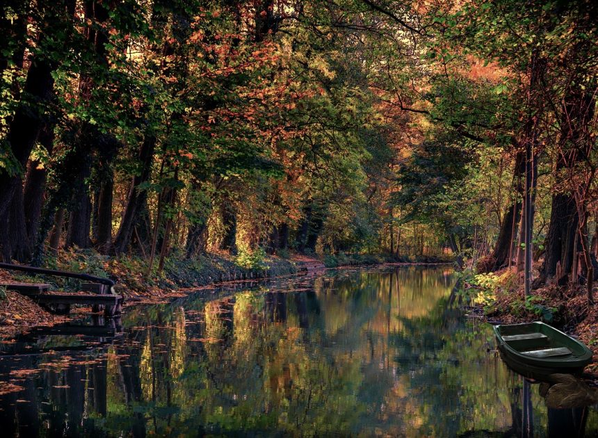 Réserve de biosphère : un refuge pour la biodiversité et un modèle de développement durable