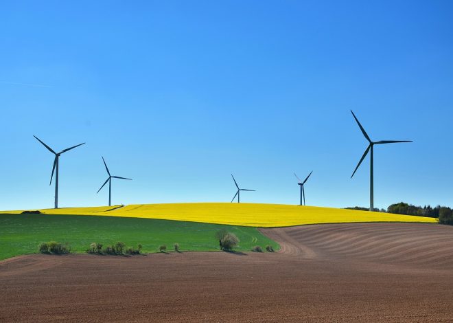 Sociétés durables : Comment les entreprises innovent pour un avenir éco-responsable