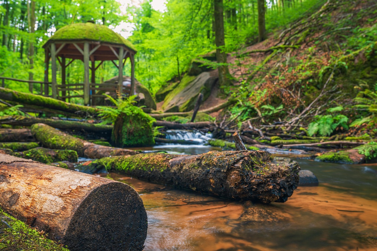 découvrez la beauté et la richesse des réserves de biosphère, des lieux protégés dédiés à la conservation de la biodiversité et au développement durable. explorez des écosystèmes uniques et engagez-vous pour l'avenir de notre planète.