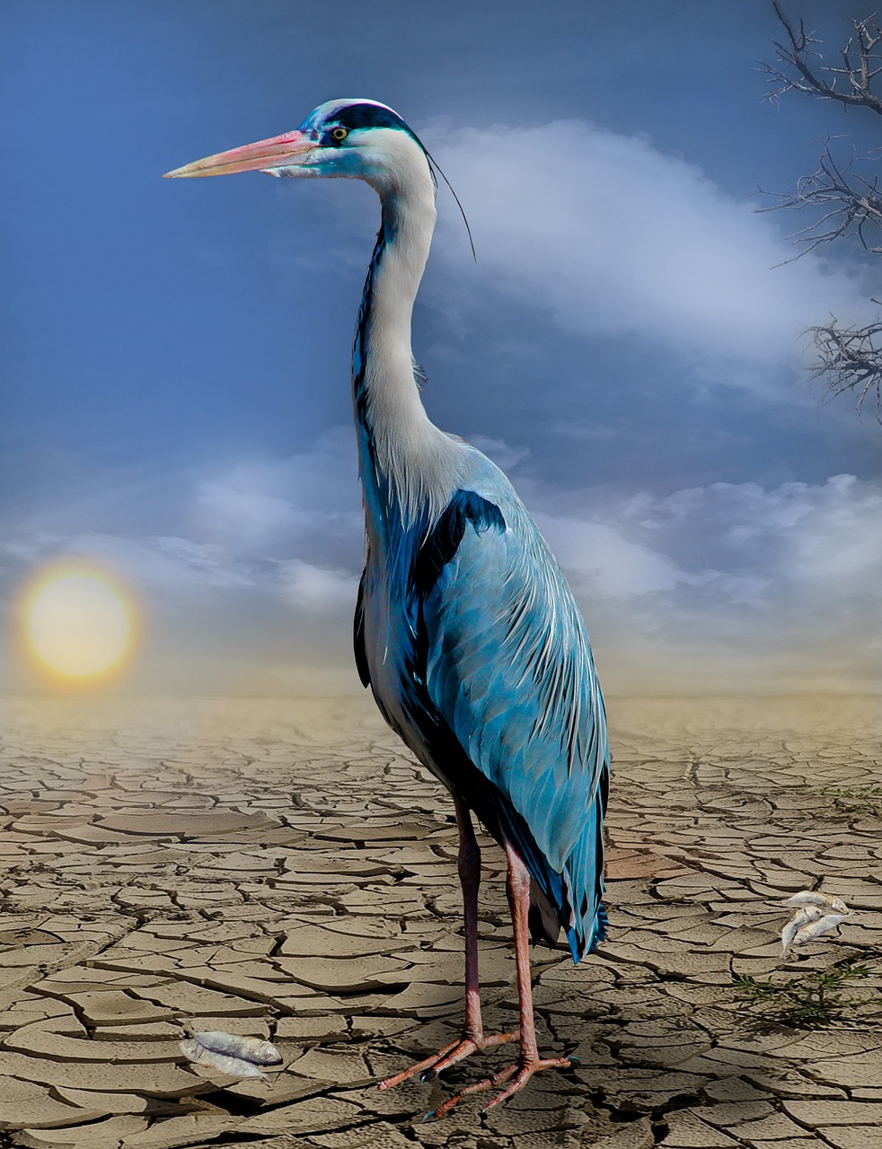 découvrez les initiatives clés pour lutter contre le changement climatique. explorez des projets innovants et des solutions durables qui visent à protéger notre planète et à promouvoir un avenir meilleur pour tous.
