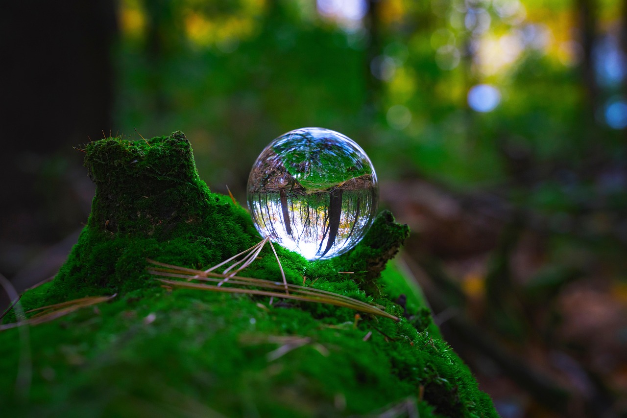 découvrez ce qu'est un éco-label : un signe de qualité environnementale qui certifie des produits et services respectueux de l'environnement. informez-vous sur les critères d'attribution et les avantages pour une consommation responsable et durable.