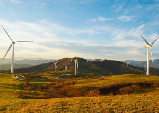 Agir ensemble pour sauvegarder notre environnement local, c’est efficace !