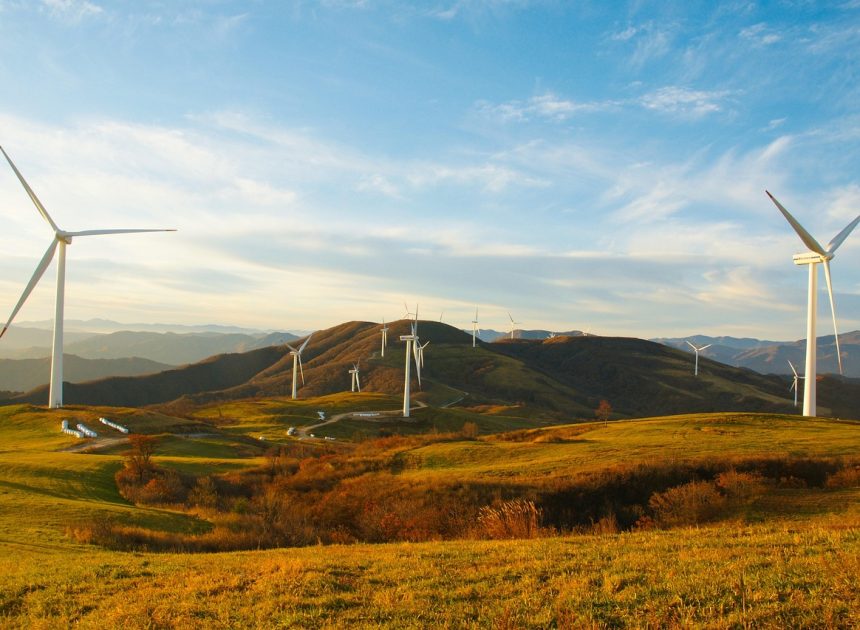 Agir ensemble pour sauvegarder notre environnement local, c’est efficace !