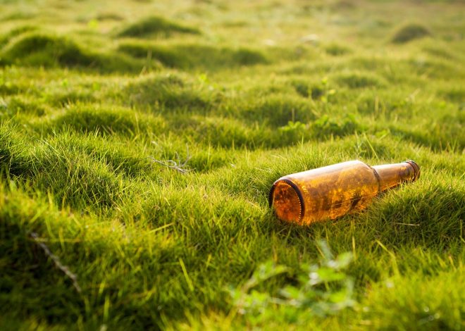 Gouvernance environnementale : Les enjeux clés pour un développement durable