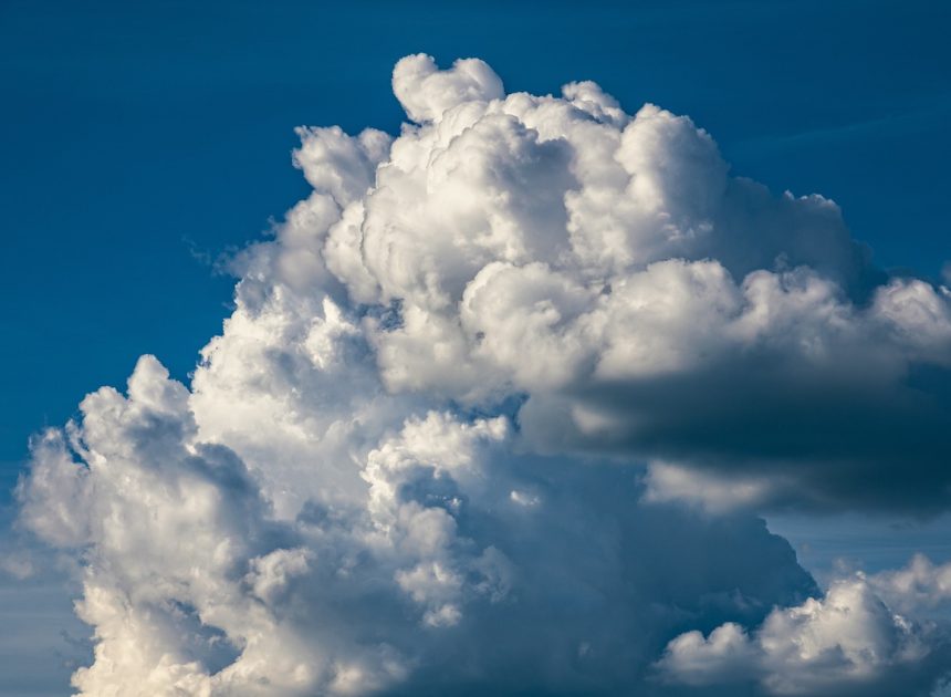 Plan d’action climat : 5 étapes essentielles pour un avenir durable