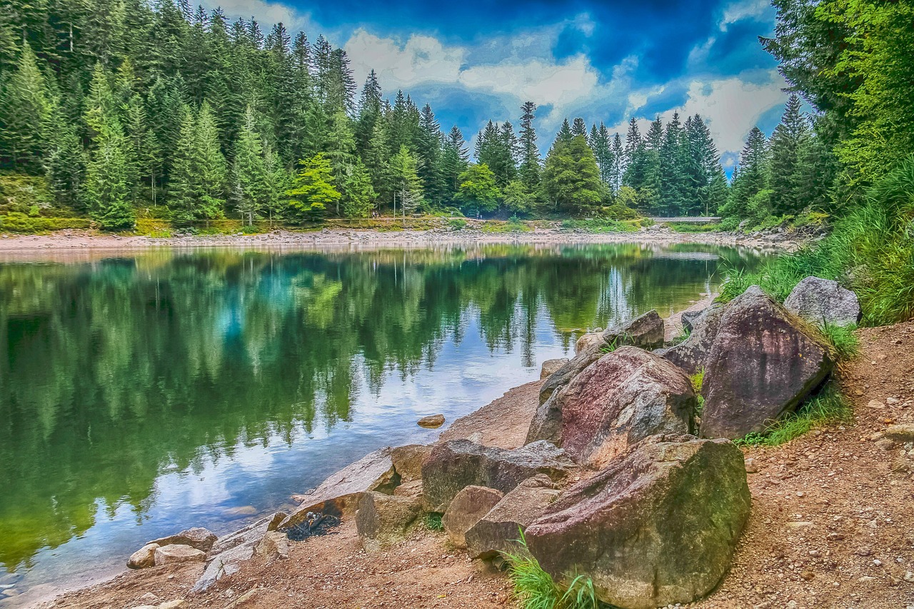 découvrez l'importance de la biodiversité pour notre planète. explorez les différentes espèces, leurs habitats et les enjeux liés à leur préservation. engagez-vous pour un avenir durable et la protection de notre écosystème.