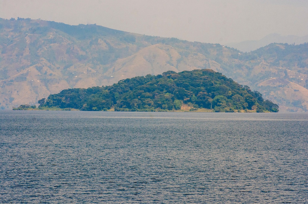 découvrez la richesse de la forêt du bassin du congo, un écosystème unique et vital pour la biodiversité mondiale. explorez ses paysages luxuriants, sa faune diversifiée et son rôle crucial dans la lutte contre le changement climatique.