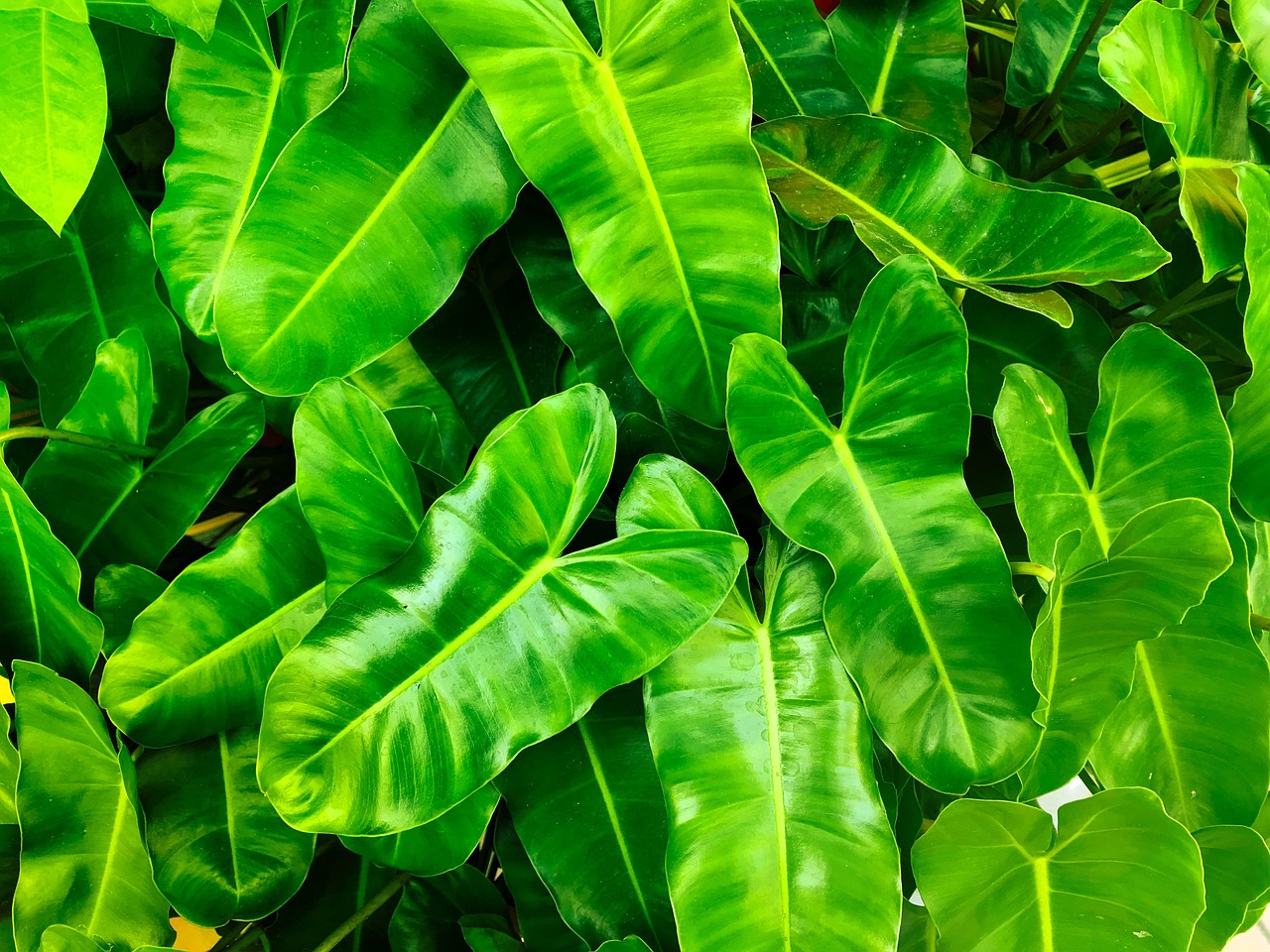 découvrez les enjeux de la gouvernance environnementale, un cadre essentiel pour la protection des ressources naturelles et le développement durable. apprenez comment les politiques et les stratégies peuvent favoriser l'équilibre entre croissance économique et respect de l'environnement.